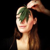 The Mary Jane Experience